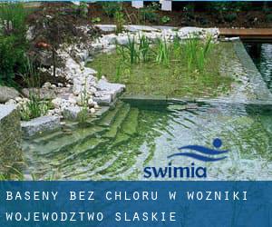 Baseny Bez chloru w Wożniki (Województwo śląskie)