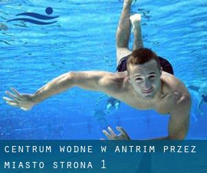 Centrum wodne w Antrim przez miasto - strona 1