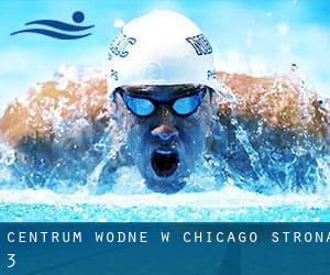 Centrum wodne w Chicago - strona 3