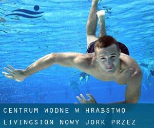 Centrum wodne w Hrabstwo Livingston Nowy Jork przez miasto - strona 1