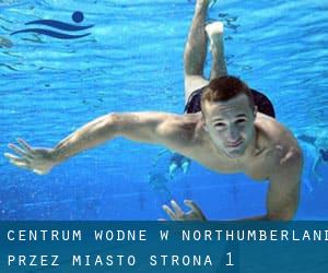 Centrum wodne w Northumberland przez miasto - strona 1