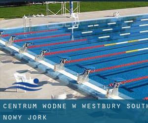 Centrum wodne w Westbury South (Nowy Jork)