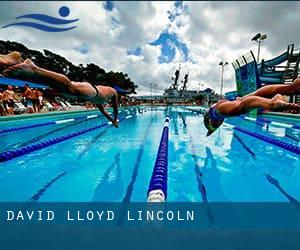 David Lloyd - Lincoln