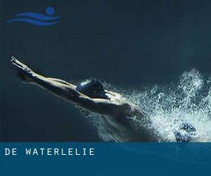 De Waterlelie