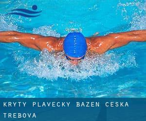 Krytý Plavecký Bazén - Ceska Trebova