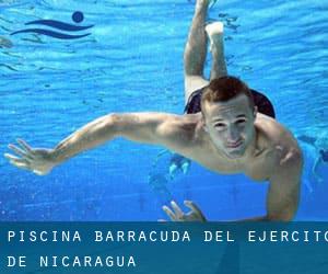 Piscina Barracuda del Ejército de Nicaragua