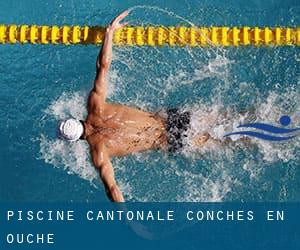 Piscine Cantonale - Conches en Ouche