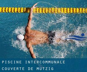 Piscine Intercommunale Couverte de Mutzig