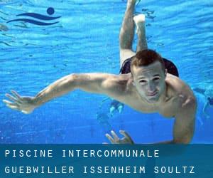 Piscine Intercommunale Guebwiller Issenheim Soultz