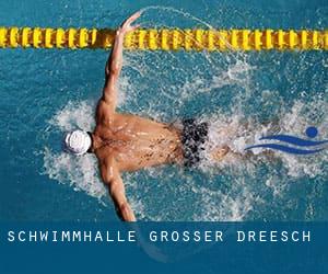 Schwimmhalle Grosser Dreesch